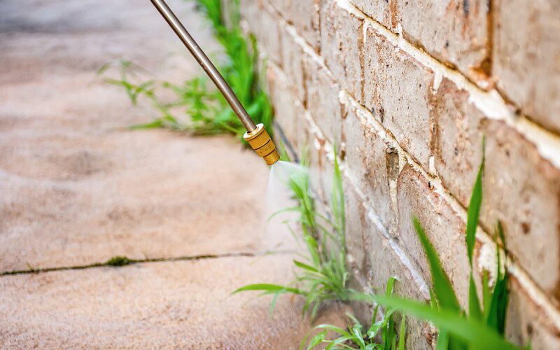 Weed sprayer applying herbicide along a brick wall to kill weeds