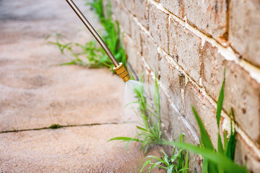 Weed sprayer applying herbicide along a brick wall to kill weeds